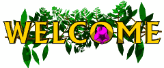 Welcome!